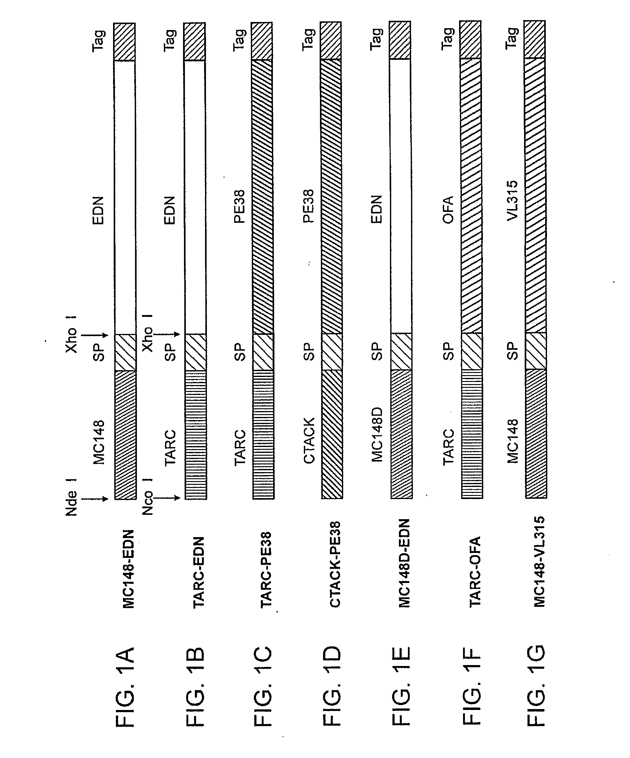 Methods and Compositions for Modulating Immune Tolerance