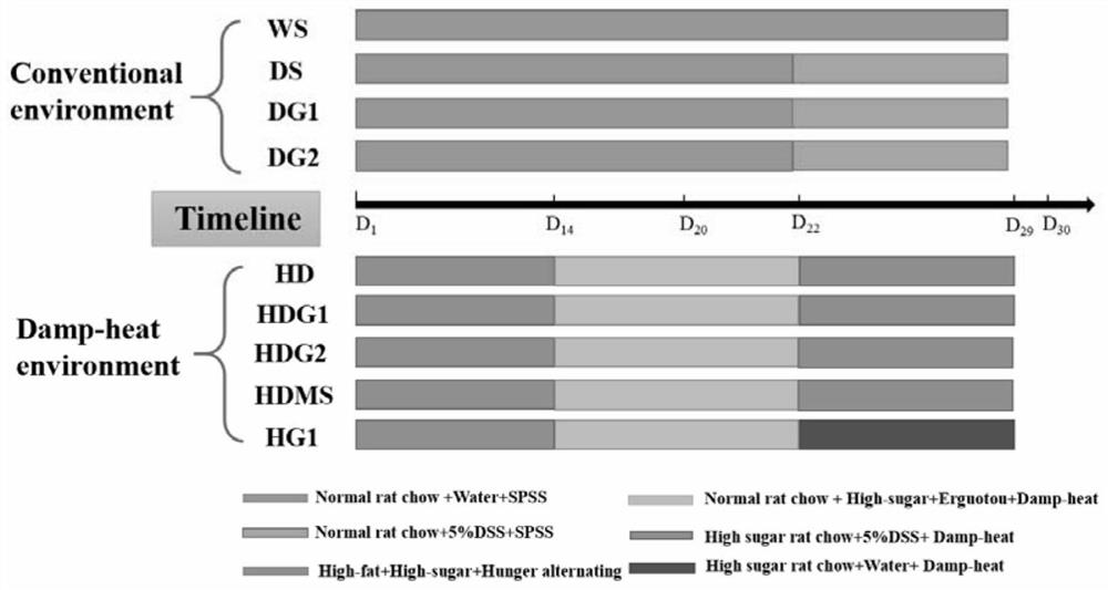 Traditional Chinese medicine composition for preventing ulcerative colitis