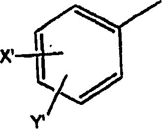 Lysine based compounds