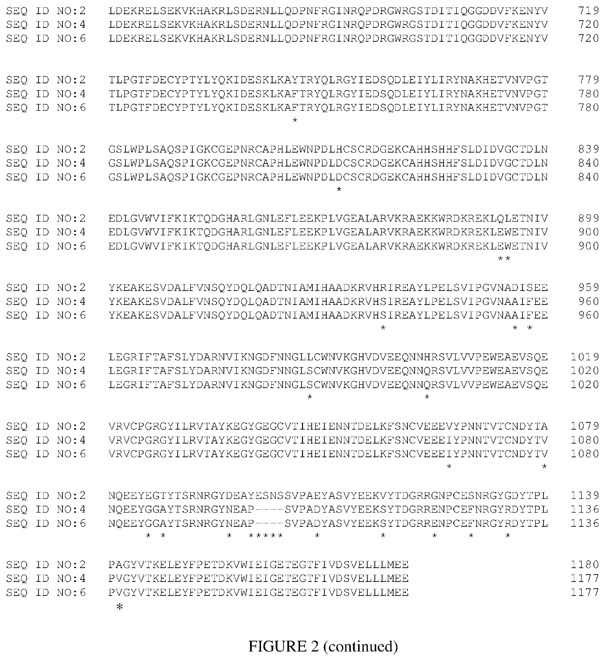 Pesticidal toxin proteins active against lepidopteran insects