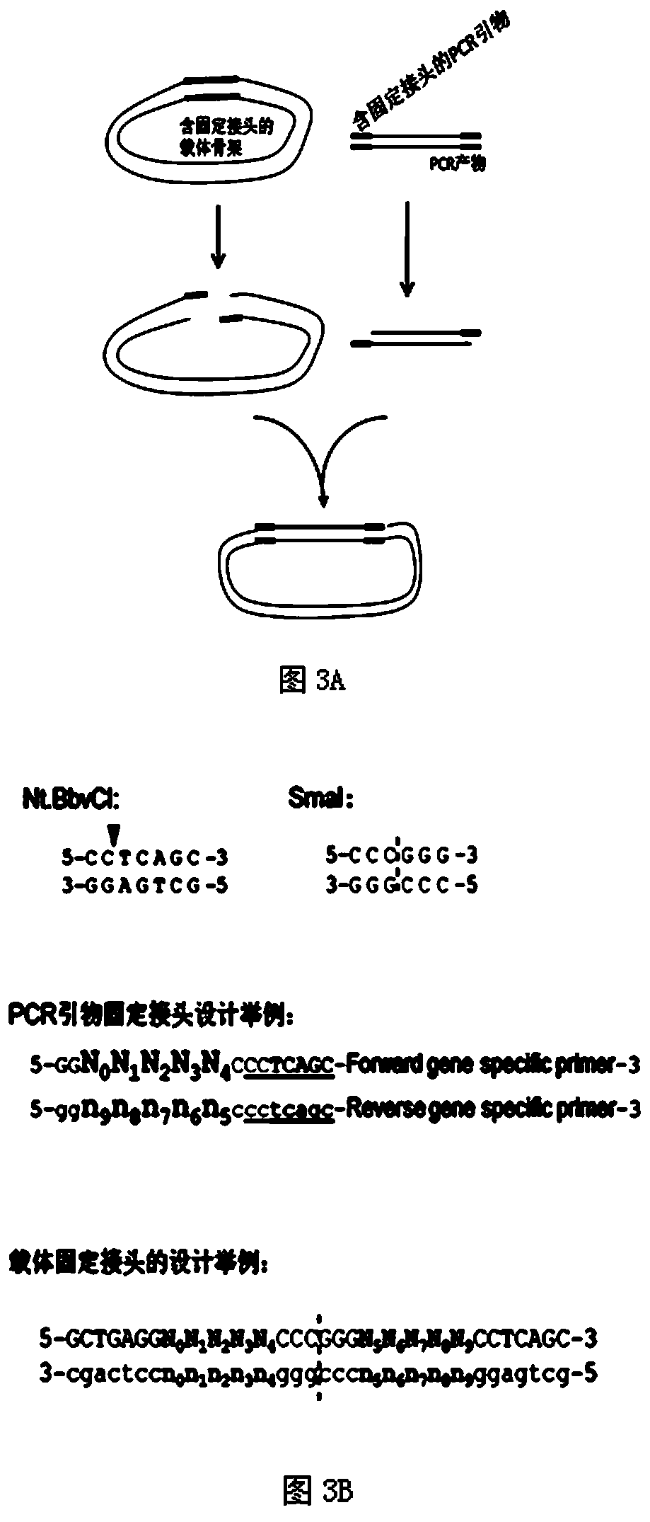 A New Gene Cloning Method