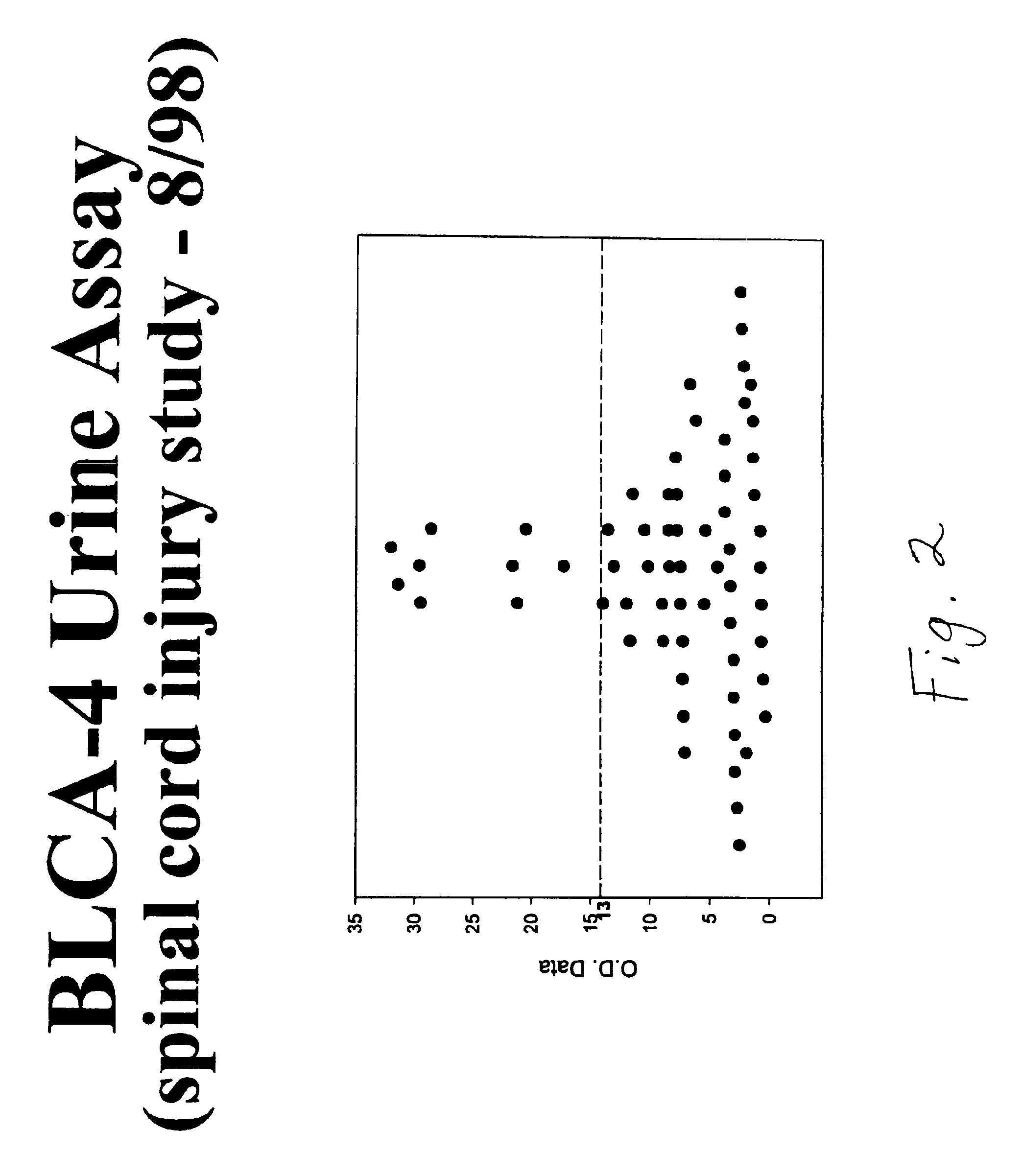 Antibody to bladder cancer nuclear matrix protein and its use