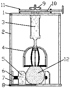 Semi-automatic shaddock opening apparatus