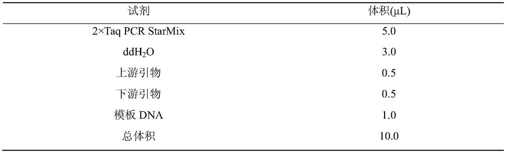 A method for detecting beef cattle plag1 gene indel marker and its special kit