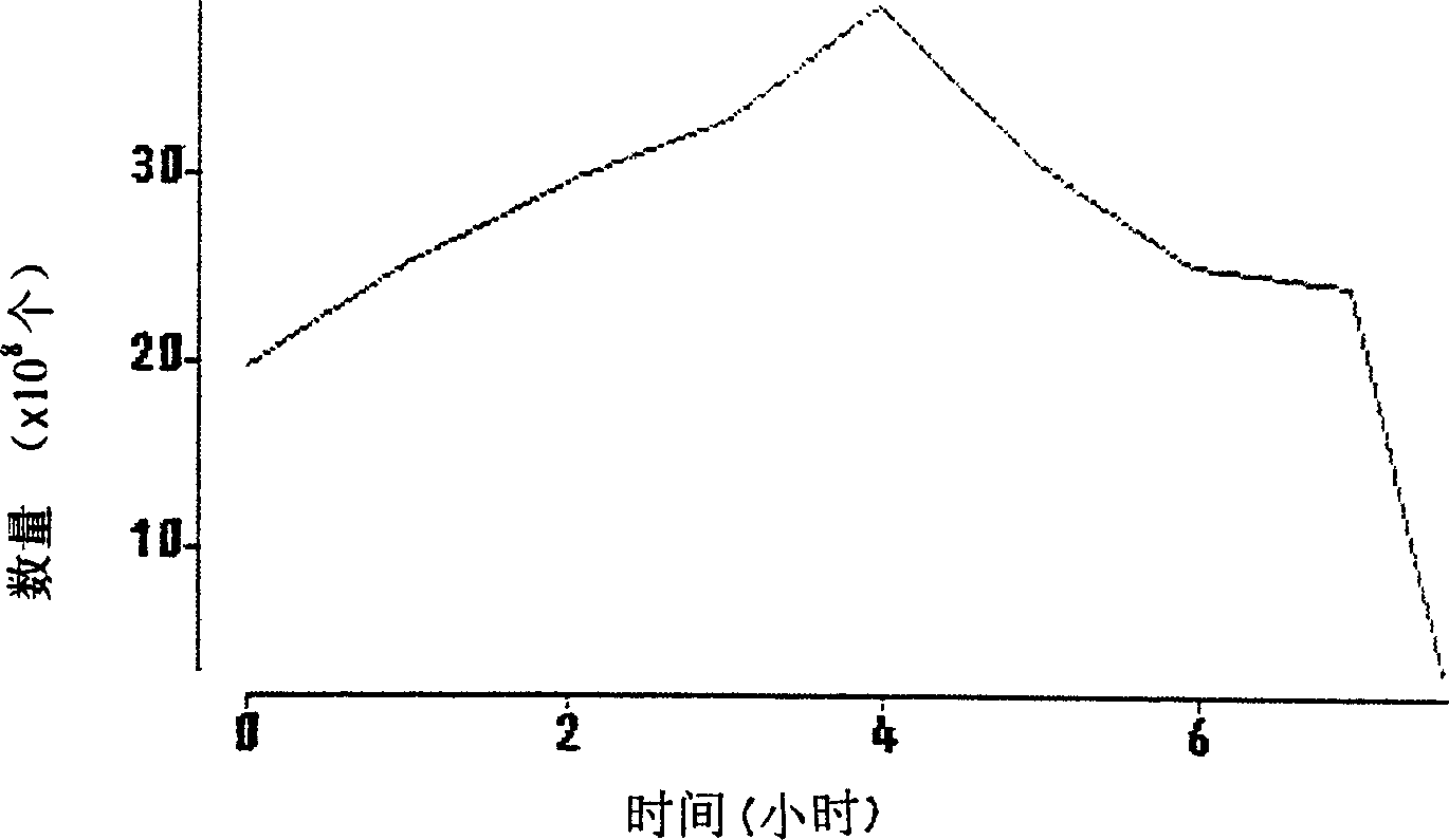 Ultrasonic contrast medium and its preparing process