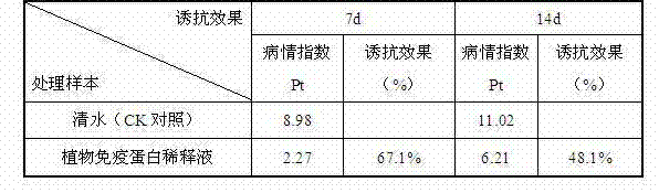 Preparation method of plant immune protein