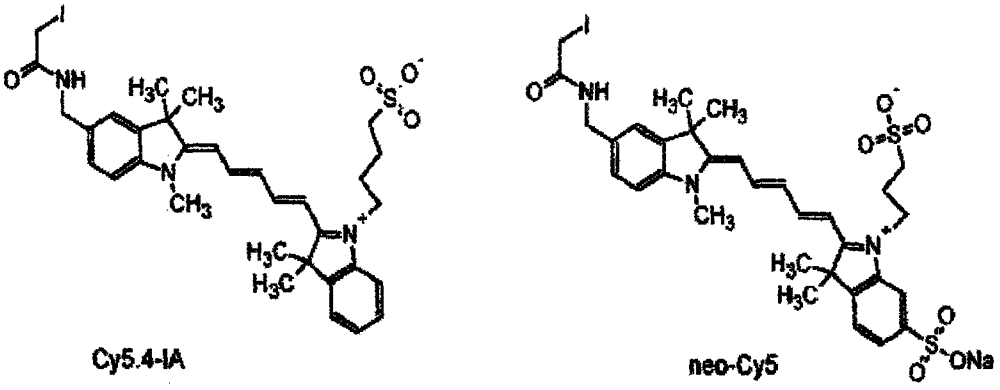 Synthesis method of pentamethine cyanine dye for mercapto labeling