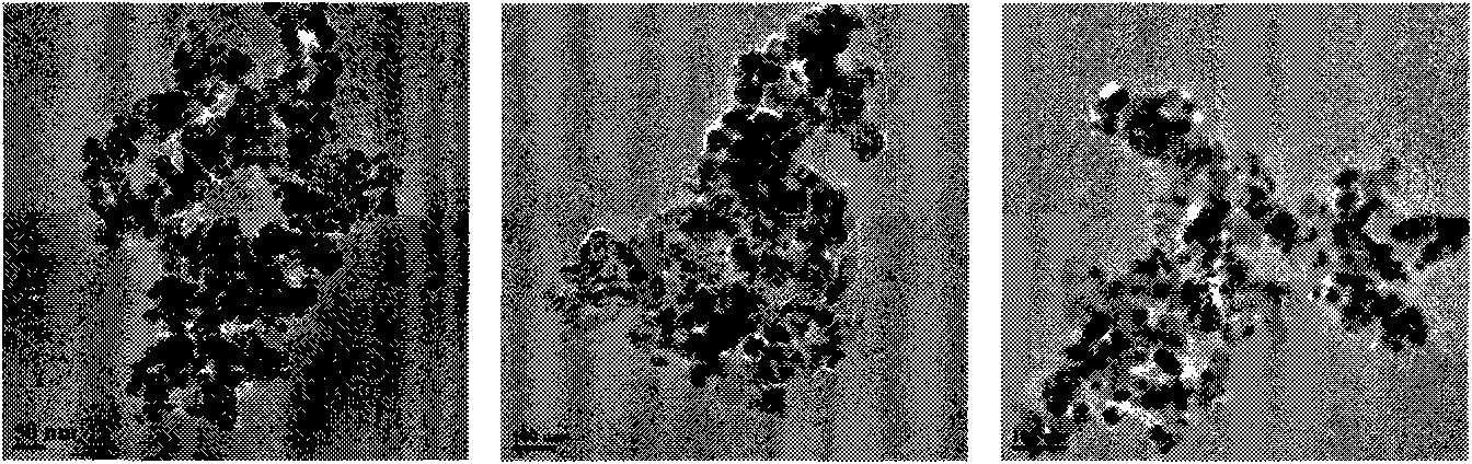 Ozonized water treatment method taking nano zinc oxide as catalyst