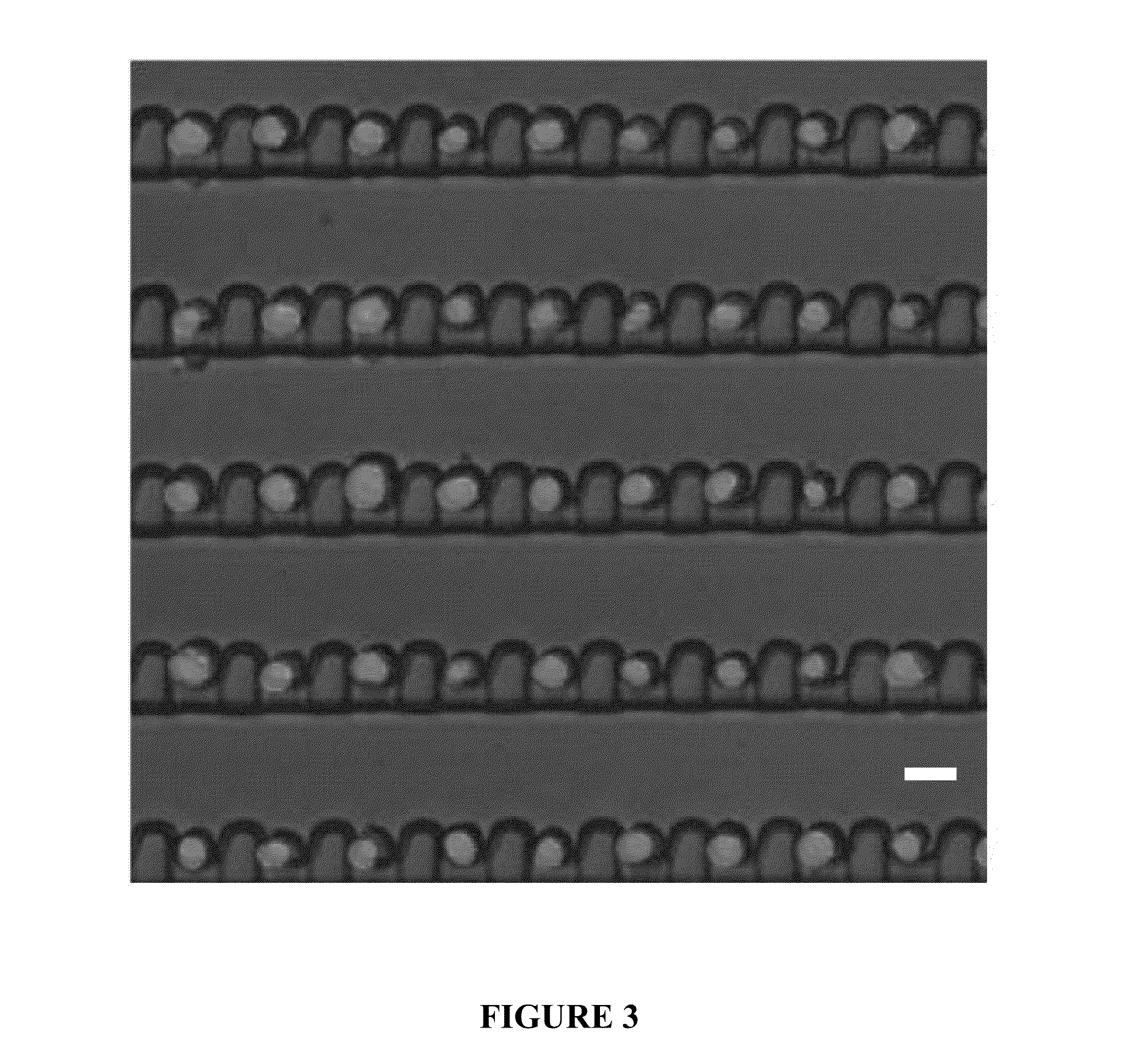 Deterministic High-Density Single-Cell Trap Array