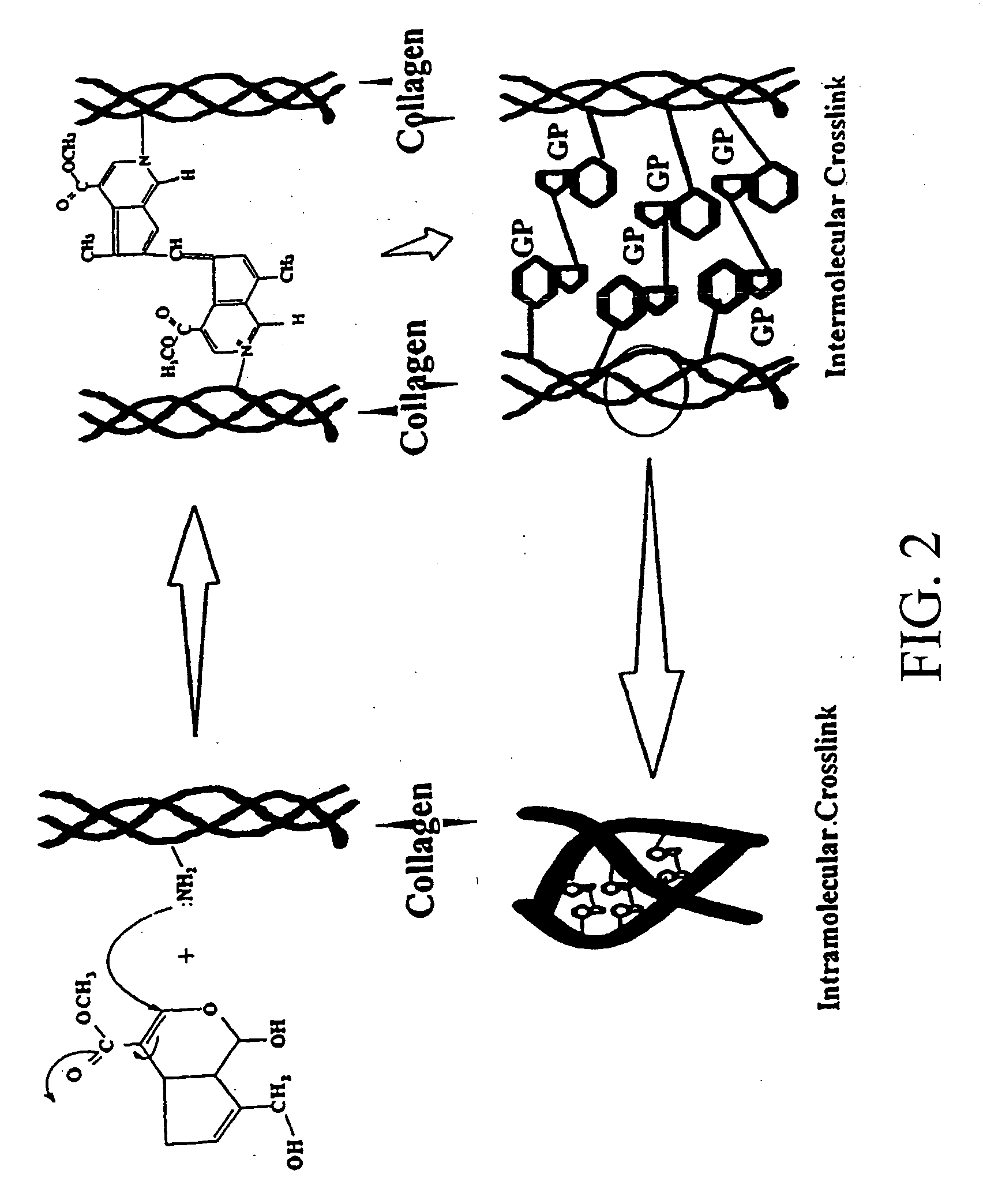 Biodegradable occlusive device with moisture memory