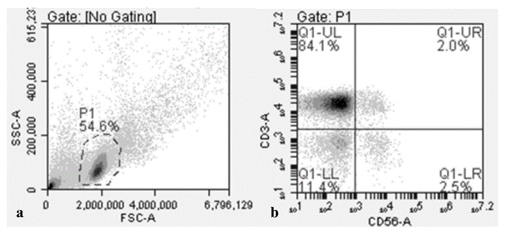 Immunological cell freeze-saving method