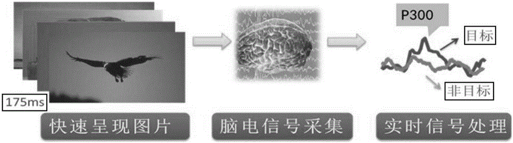 Method for making electroencephalogram target judgment with assistance of machine vision