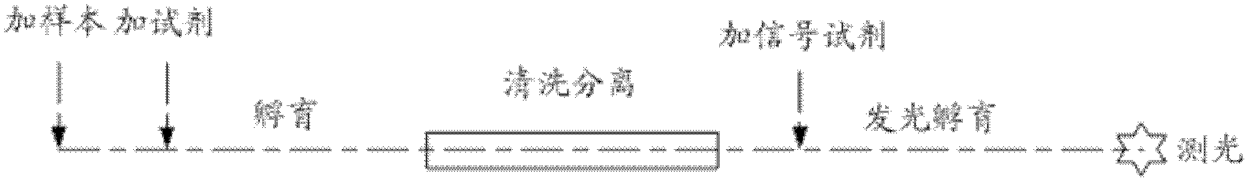 Automatic analyzer, analyzing method and analyzing system thereof