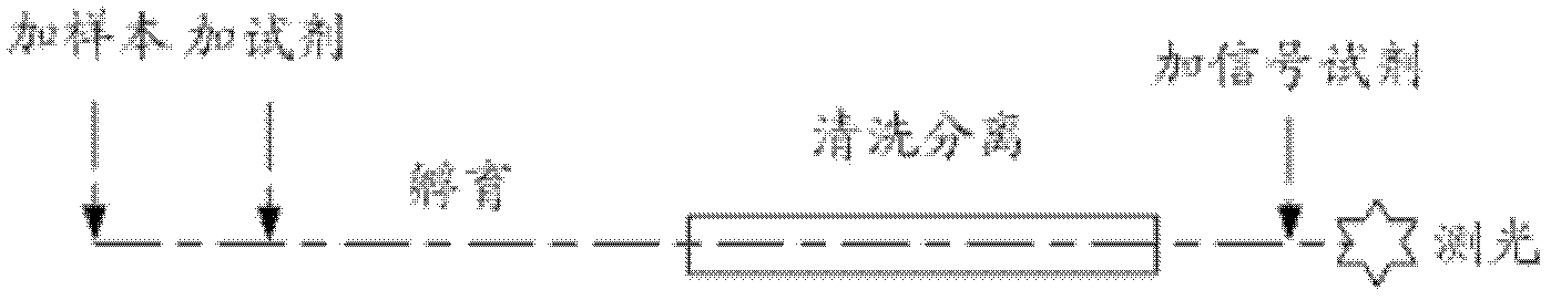 Automatic analyzer, analyzing method and analyzing system thereof