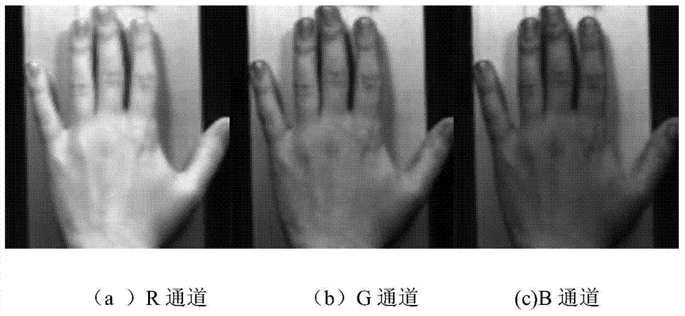 Reflectance spectrum reconstruction method based on iterative threshold method