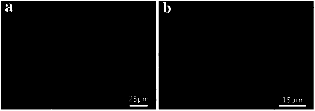 Porous biological ceramic coating with antibiosis and bone promoting functions as well as preparation method and application thereof