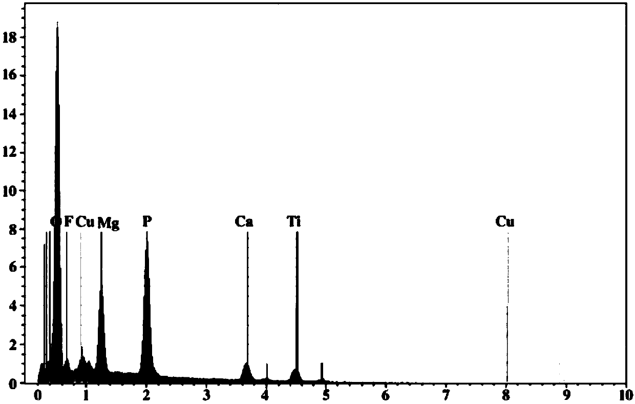 Porous biological ceramic coating with antibiosis and bone promoting functions as well as preparation method and application thereof