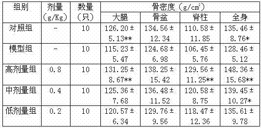 Traditional Chinese medicine for treating bone rarefaction