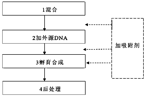 In-vitro protein synthesis system, method of enhancing protein synthesis efficiency by using system and kit including system