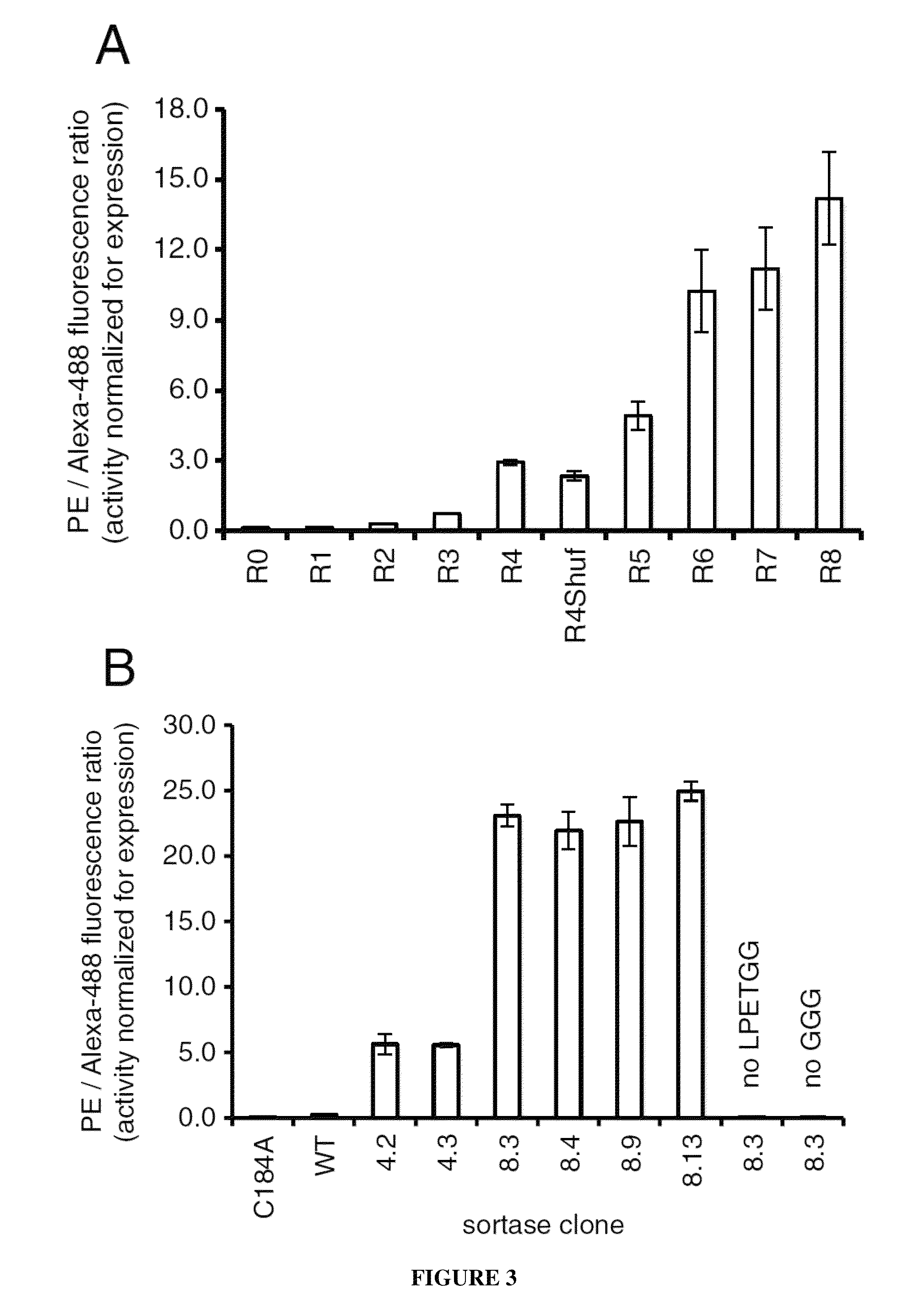 Evolution of bond-forming enzymes