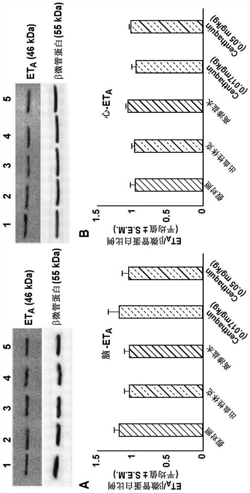 Alterations in endothelin receptors following hemorrhage and resuscitation by centhaquin