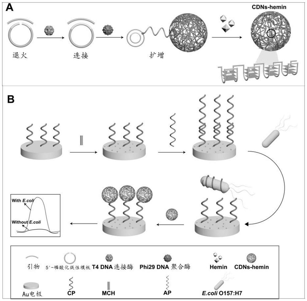 A kind of dna nanostructure, electrochemical aptamer biosensor system and its preparation method and application