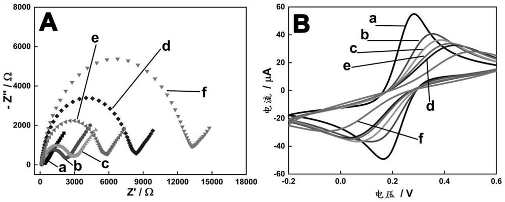 A kind of dna nanostructure, electrochemical aptamer biosensor system and its preparation method and application