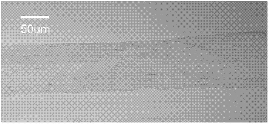 Acellular cornea stroma lens and preparation method thereof