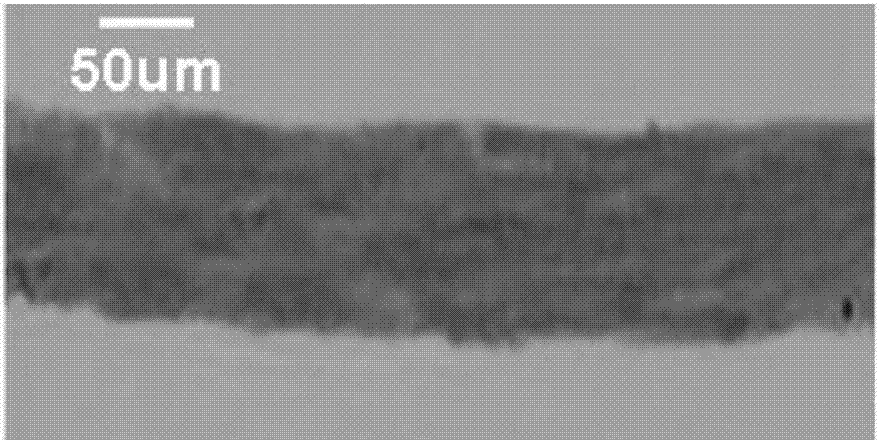 Acellular cornea stroma lens and preparation method thereof