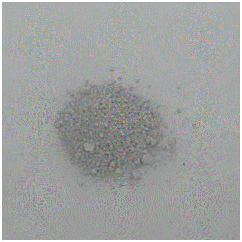 Preparation method of ceria-loaded highly dispersed nano-catalyst