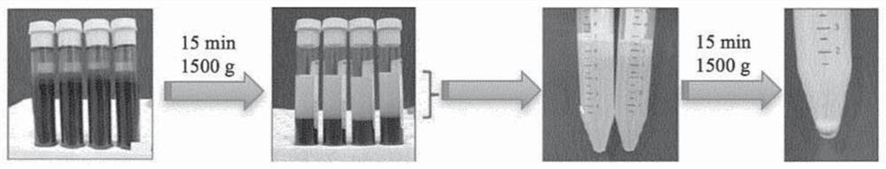 Method for diagnosing haemostasis disorders using activated charcoal