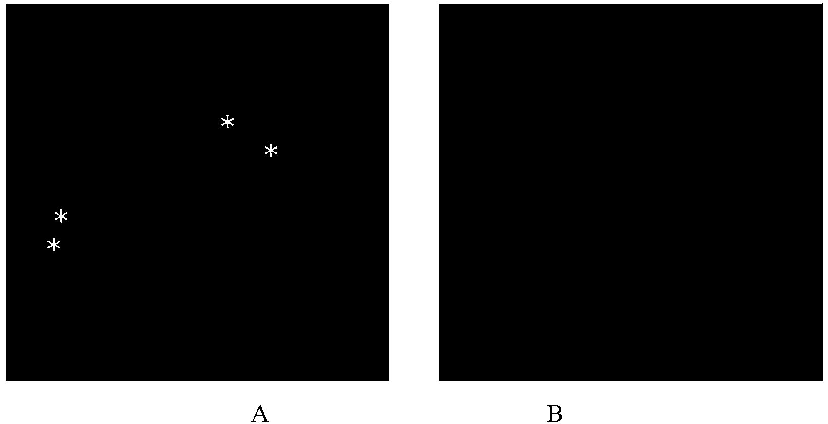 Fluorescence in situ hybridization method for metaphase chromosome of mulberry