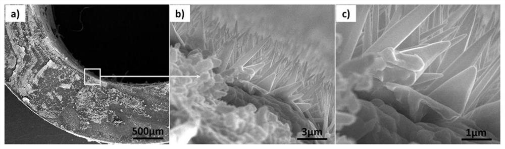 A drag-reducing and heat-insulating polymer pipe, its preparation method and application