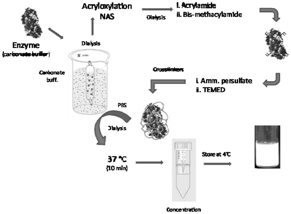 Glucose oxidase nanocapsule sensor and preparation and application thereof