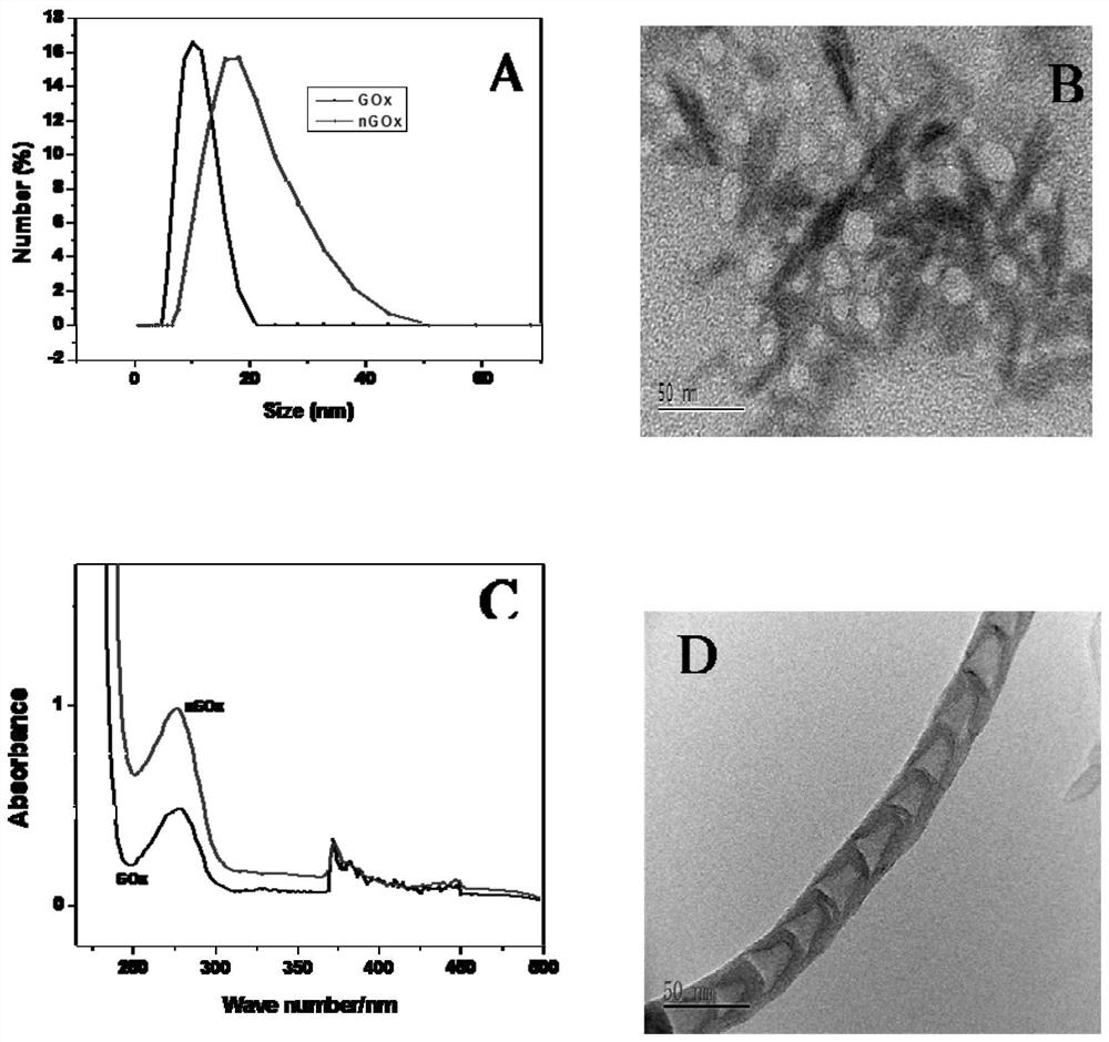 Glucose oxidase nanocapsule sensor and preparation and application thereof