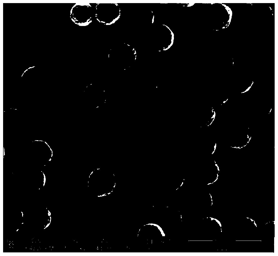 Monodisperse Cu2O single crystal solid sphere with controllable particle size and preparation method thereof