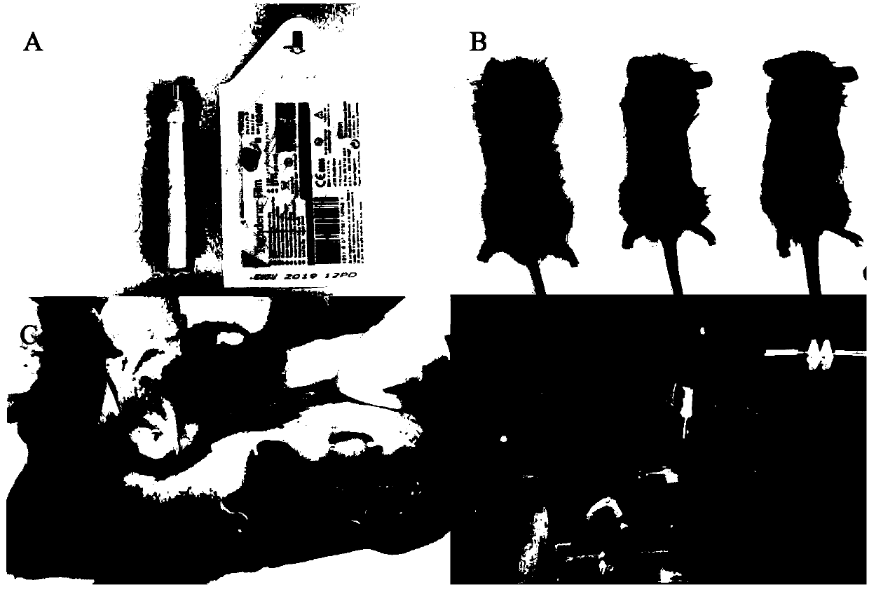 Method for promoting hair regeneration based on plasmas