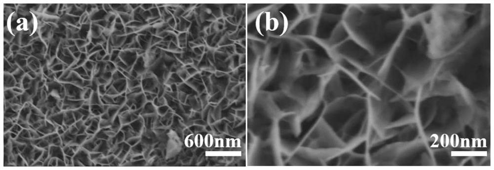 A Prussian blue analog nanosheet array material and its application in electrolysis of water