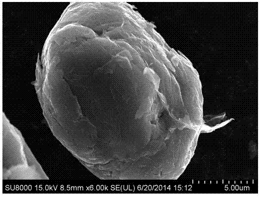 Graphite negative electrode material for lithium ion battery and preparation method of graphite negative electrode material