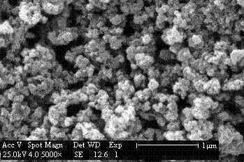 Low-temperature type lithium iron phosphate anode material and preparation method thereof