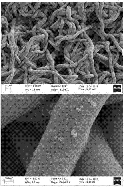 Flexible and extensible multifunctional nanofiber sensor and preparation method thereof