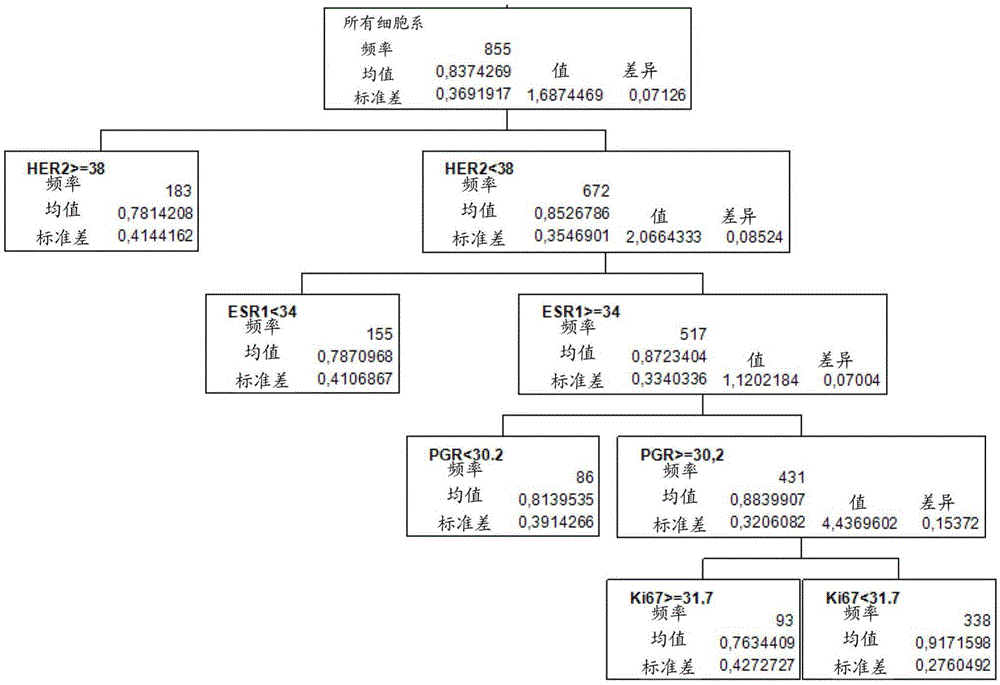 Methods and kits for the molecular subtyping of tumors