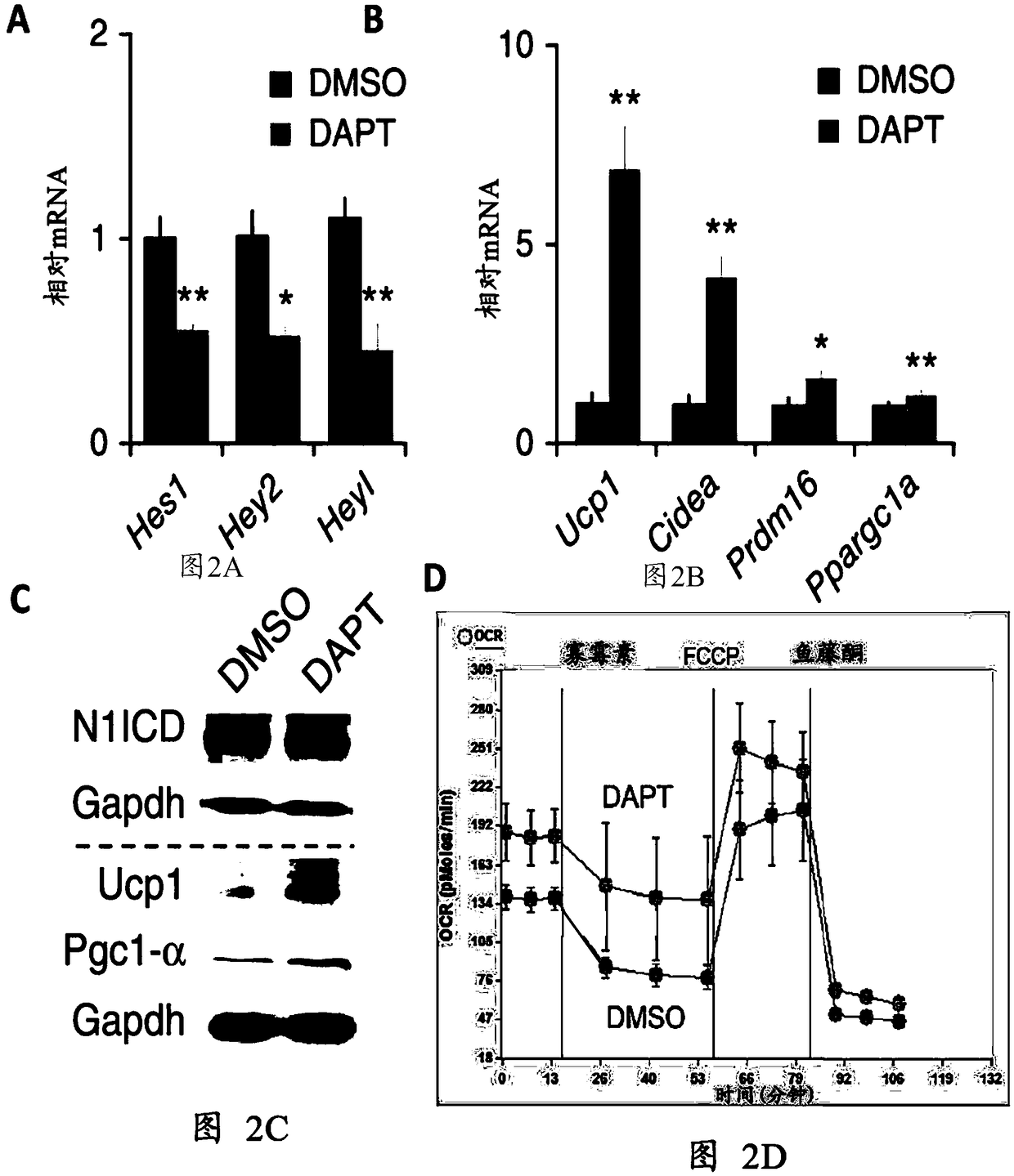 Polymer-based therapeutics for inductive browning of fat