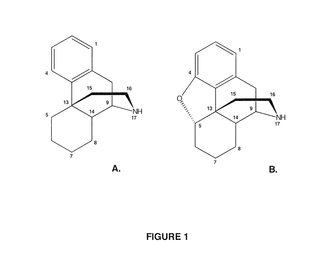 Compositions and Methods For Making Alkaloid Morphinans