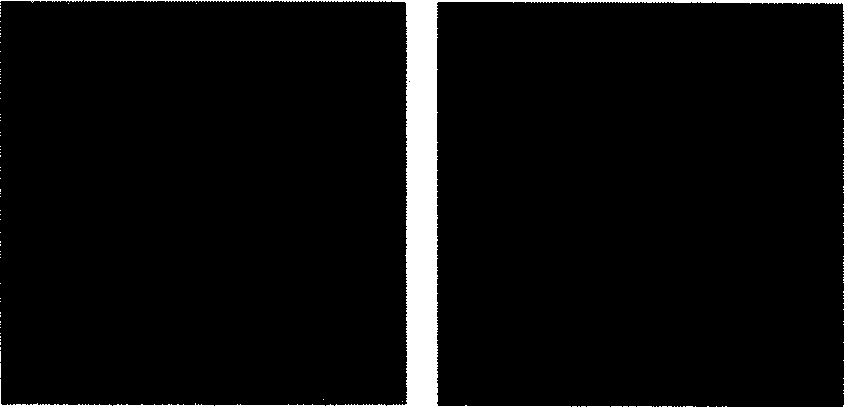 Transmembrane peptide modified pseudovirus gene vector system