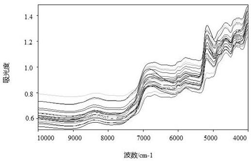 A method for rapid prediction of the yellowing time of Yuanan yellow tea using artificial neural network with polynomial net structure