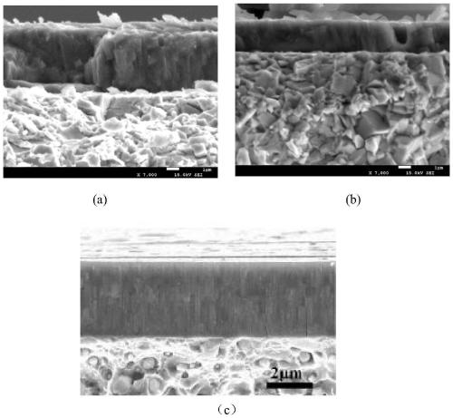 Preparation method of high-speed steel tap surface coating