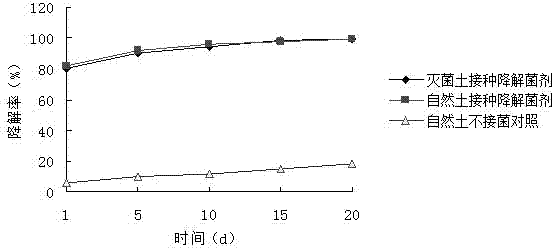 Avermectin pesticide residual degrading bacterium, and microbial inoculum produced thereby