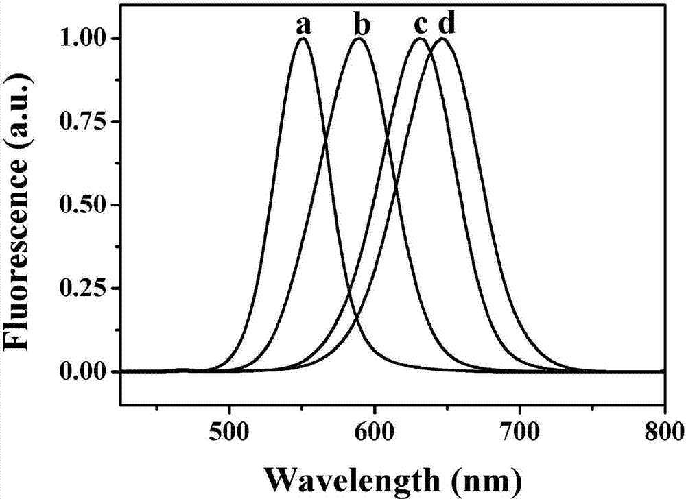 Photoelectric Immunosensor Based on Water-Soluble CD-AG-TE Quantum Dots/Nanogold Composite