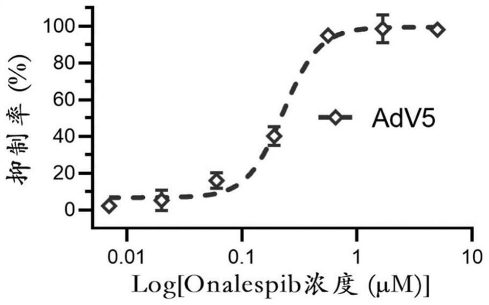 Application of Onalspib in preparation of medicine for preventing and/or treating adenovirus infection